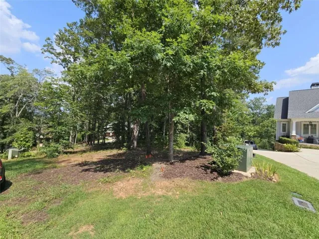 a view of backyard with green space