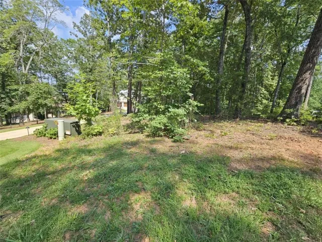 a view of yard with green space