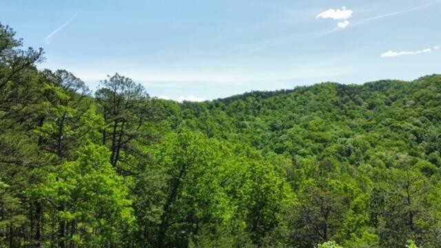 2481 Happy Hollow Road Sevierville, TN 37862 - Photo 10 of 30 Gallery Image 10