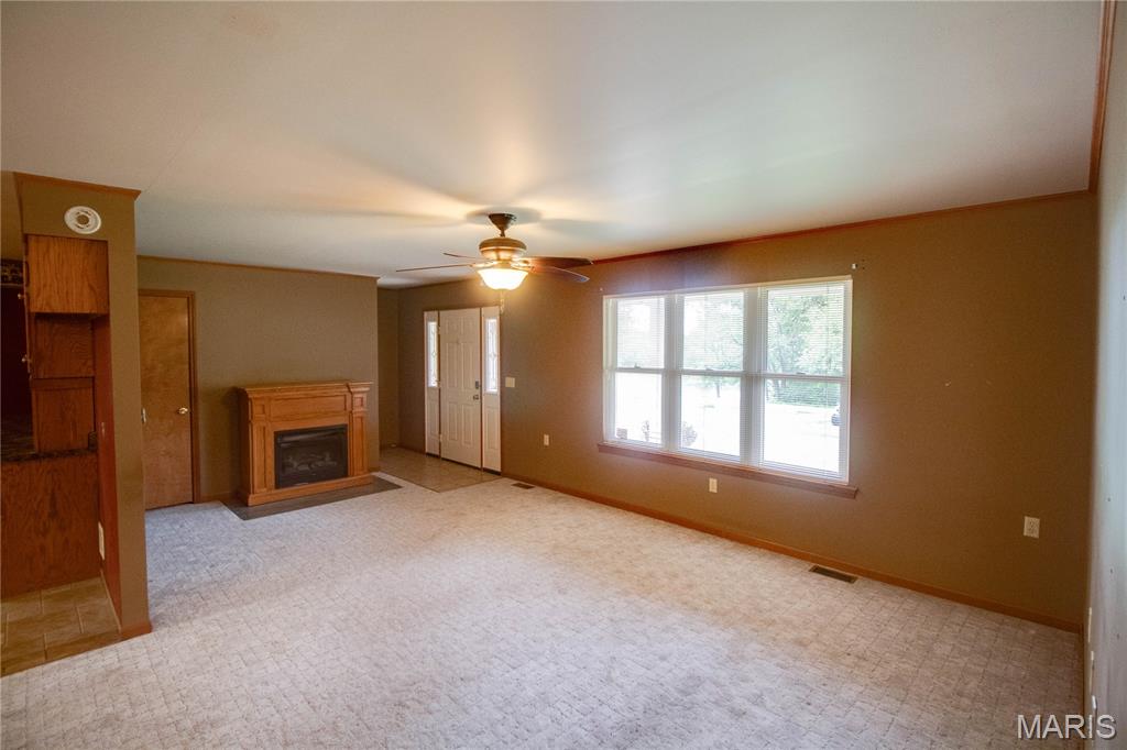31822 Irish Lane Brighton, IL 62012 - Photo 12 of 60