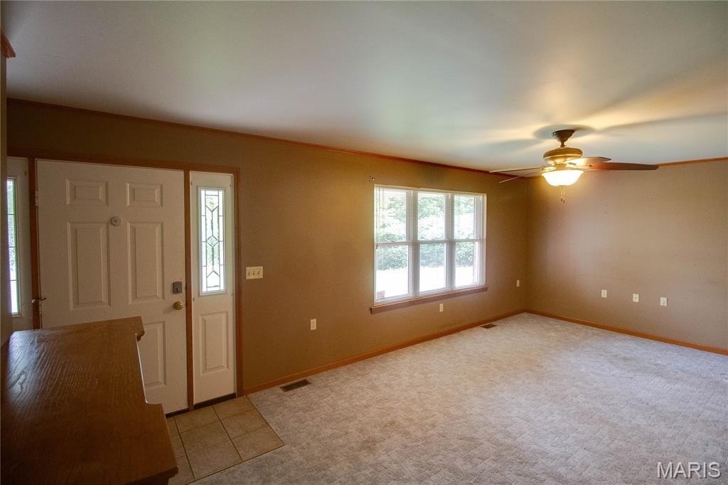 31822 Irish Lane Brighton, IL 62012 - Photo 14 of 60