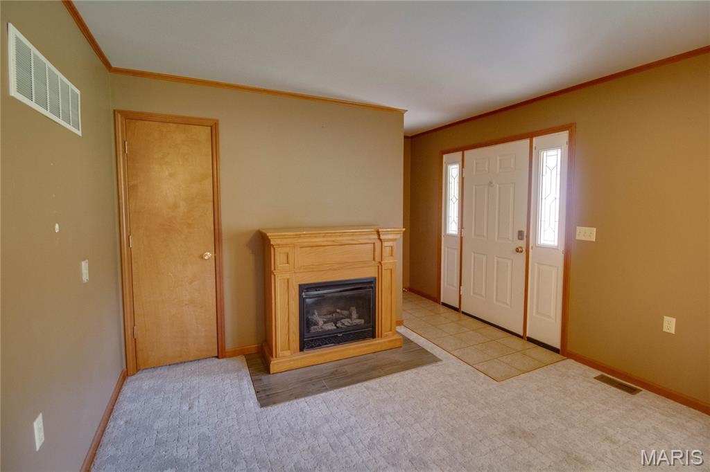 31822 Irish Lane Brighton, IL 62012 - Photo 15 of 60