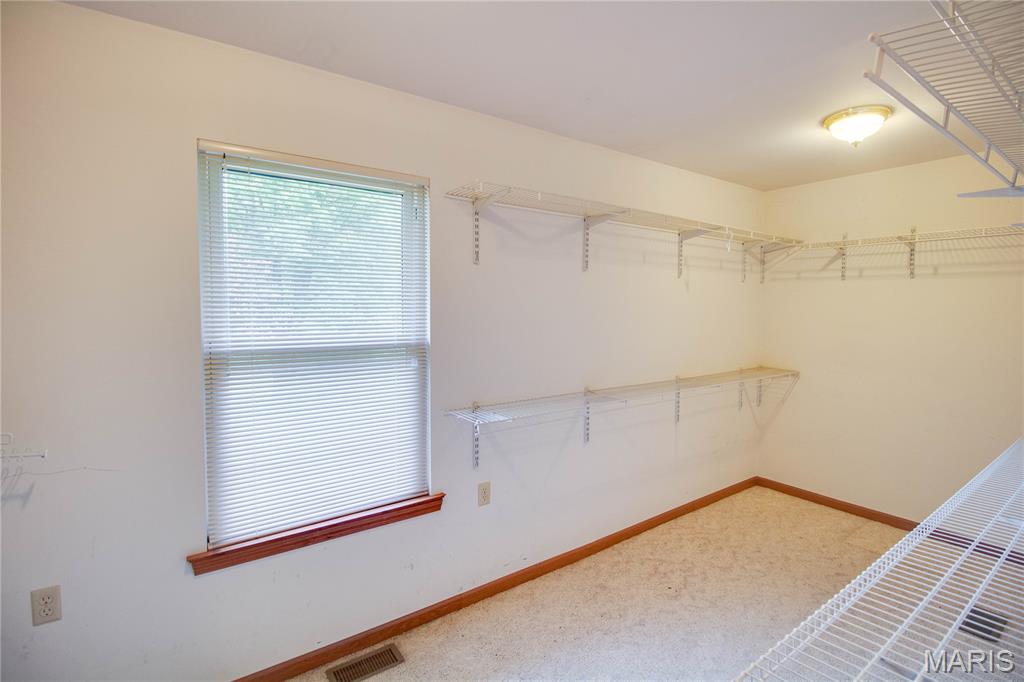 31822 Irish Lane Brighton, IL 62012 - Photo 33 of 60