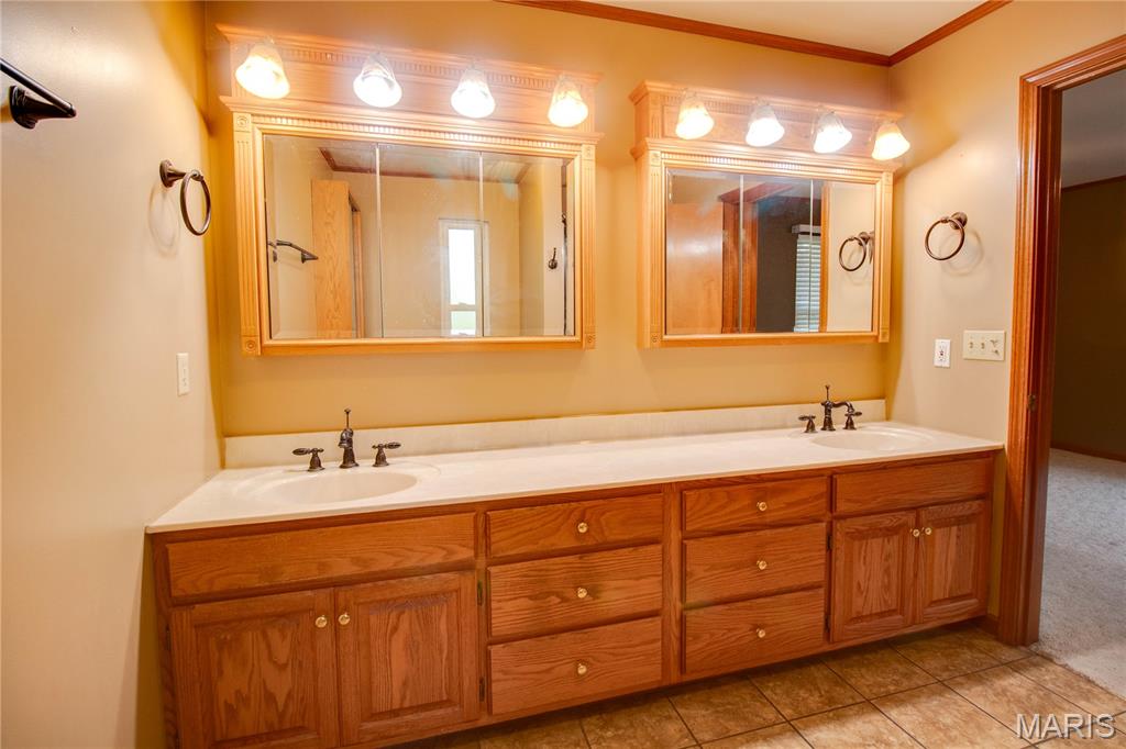 31822 Irish Lane Brighton, IL 62012 - Photo 36 of 60