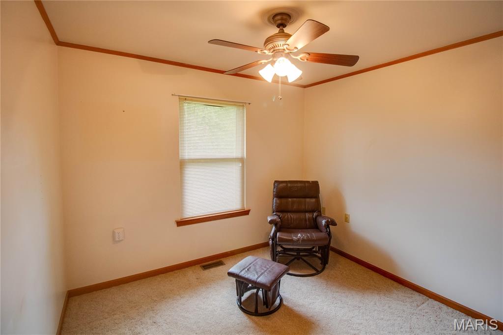 31822 Irish Lane Brighton, IL 62012 - Photo 37 of 60