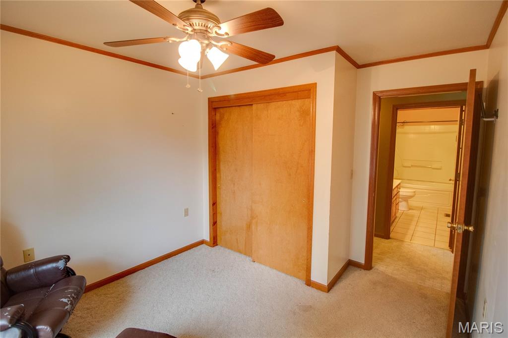 31822 Irish Lane Brighton, IL 62012 - Photo 38 of 60