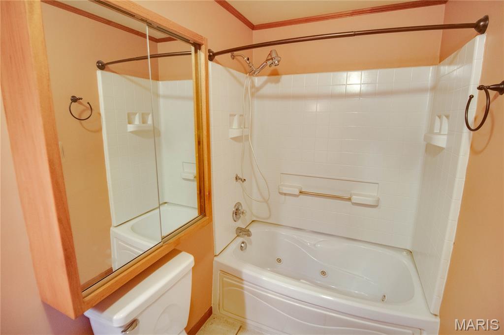31822 Irish Lane Brighton, IL 62012 - Photo 41 of 60