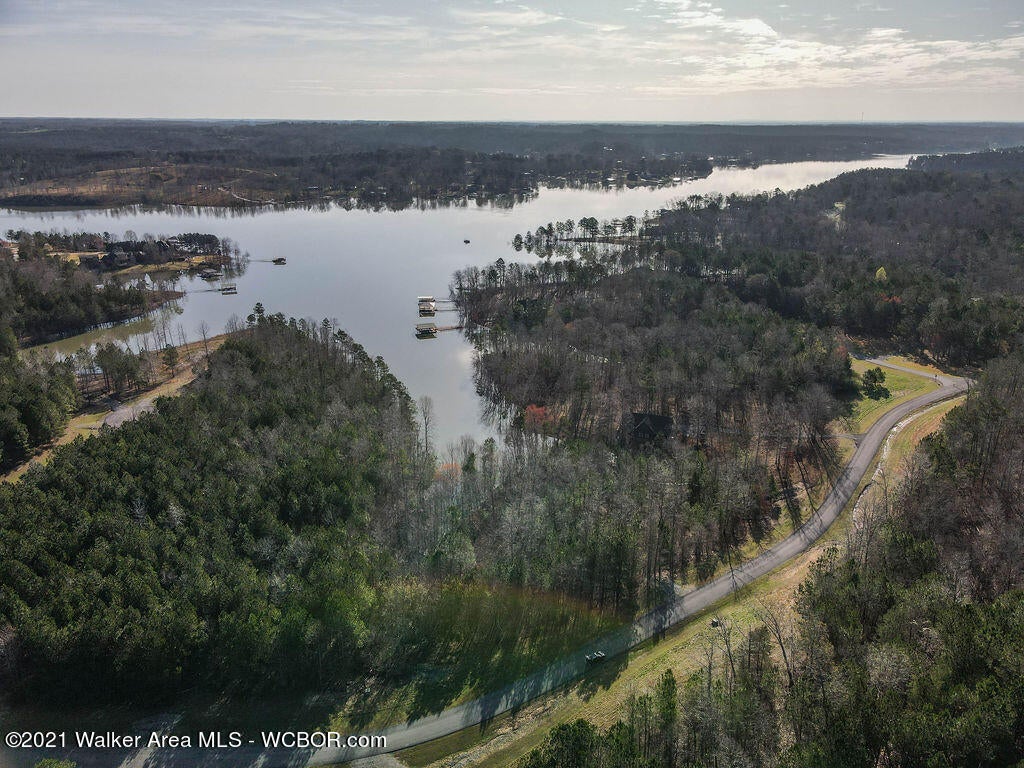 Lot#89 Stoney Point Road North Double Springs, AL 35553 - Photo 13 of 32 Gallery Image 13