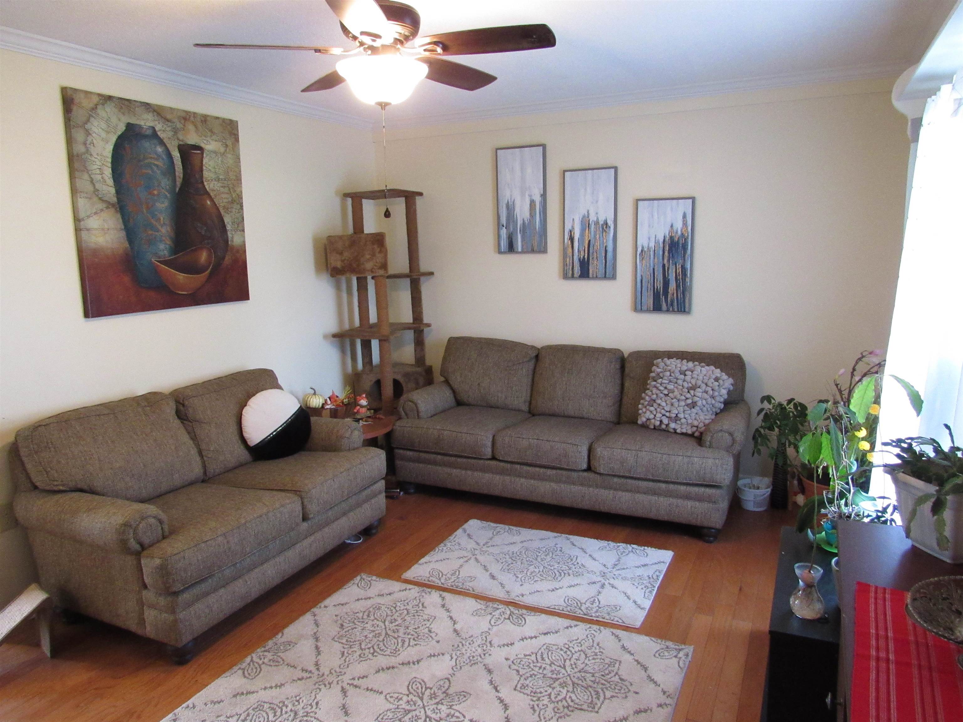 31 Stubblefield Road Waynesboro, VA 22980 - Photo 9 of 41 a living room with furniture and a potted plant