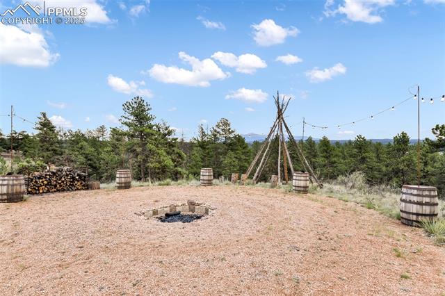 1701 Wildhorn Road Florissant, CO 80816 - Photo 36 of 50 Gallery Image 36