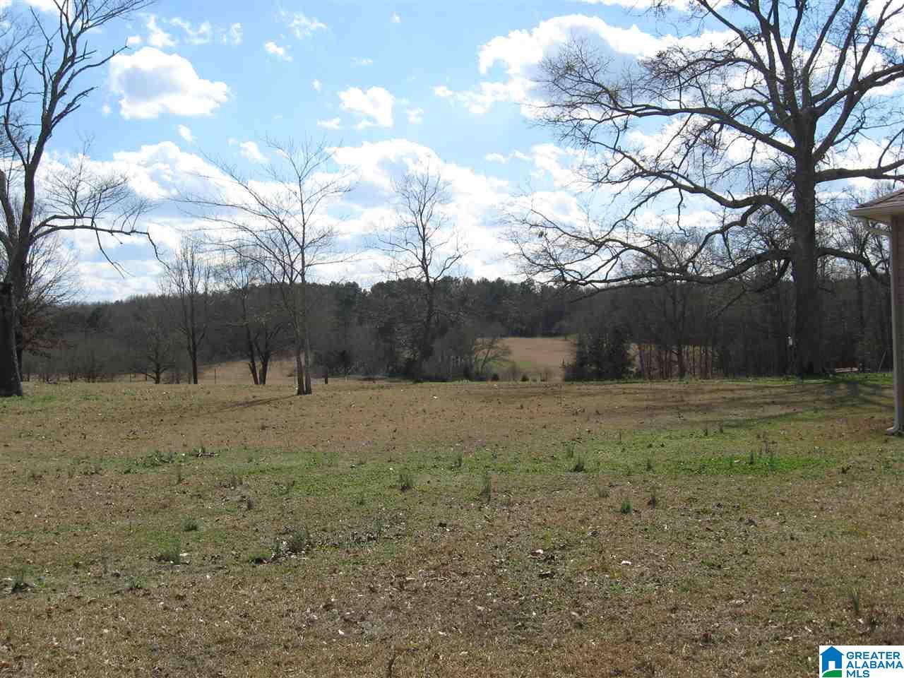 1531 Peaceful Valley Road West Eastaboga, AL 36260 - Photo 2 of 8