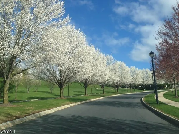 a view of a street with a yard and large trees