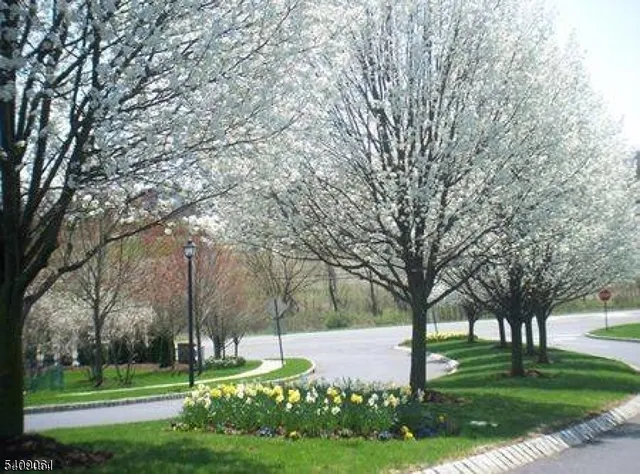 $2,100 | 668 Honeybrook Circle, Stewartsville, NJ 08886