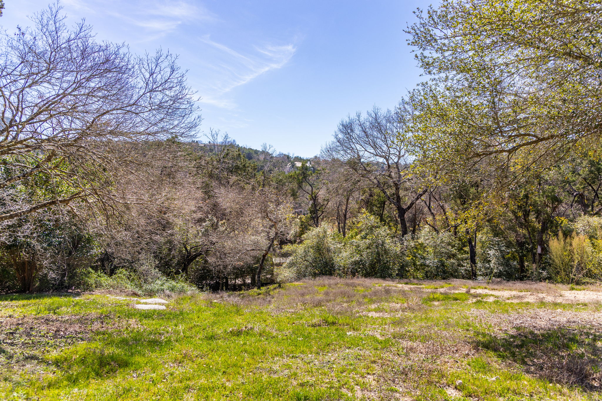 a view of a yard with large trees