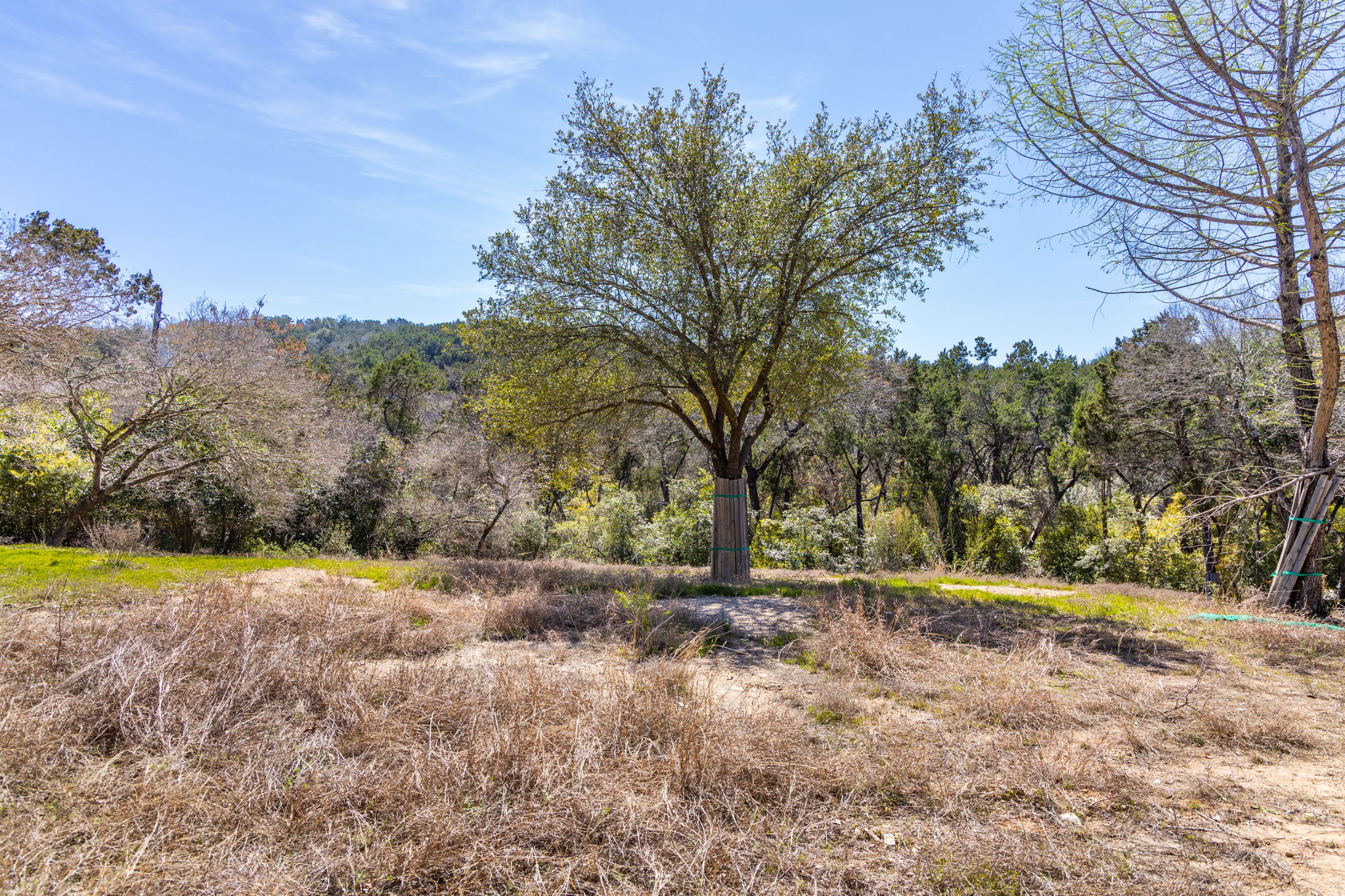902 Yaupon Valley Road West Lake Hills, TX 78746 - Photo 4 of 25 a view of outdoor space with trees all around