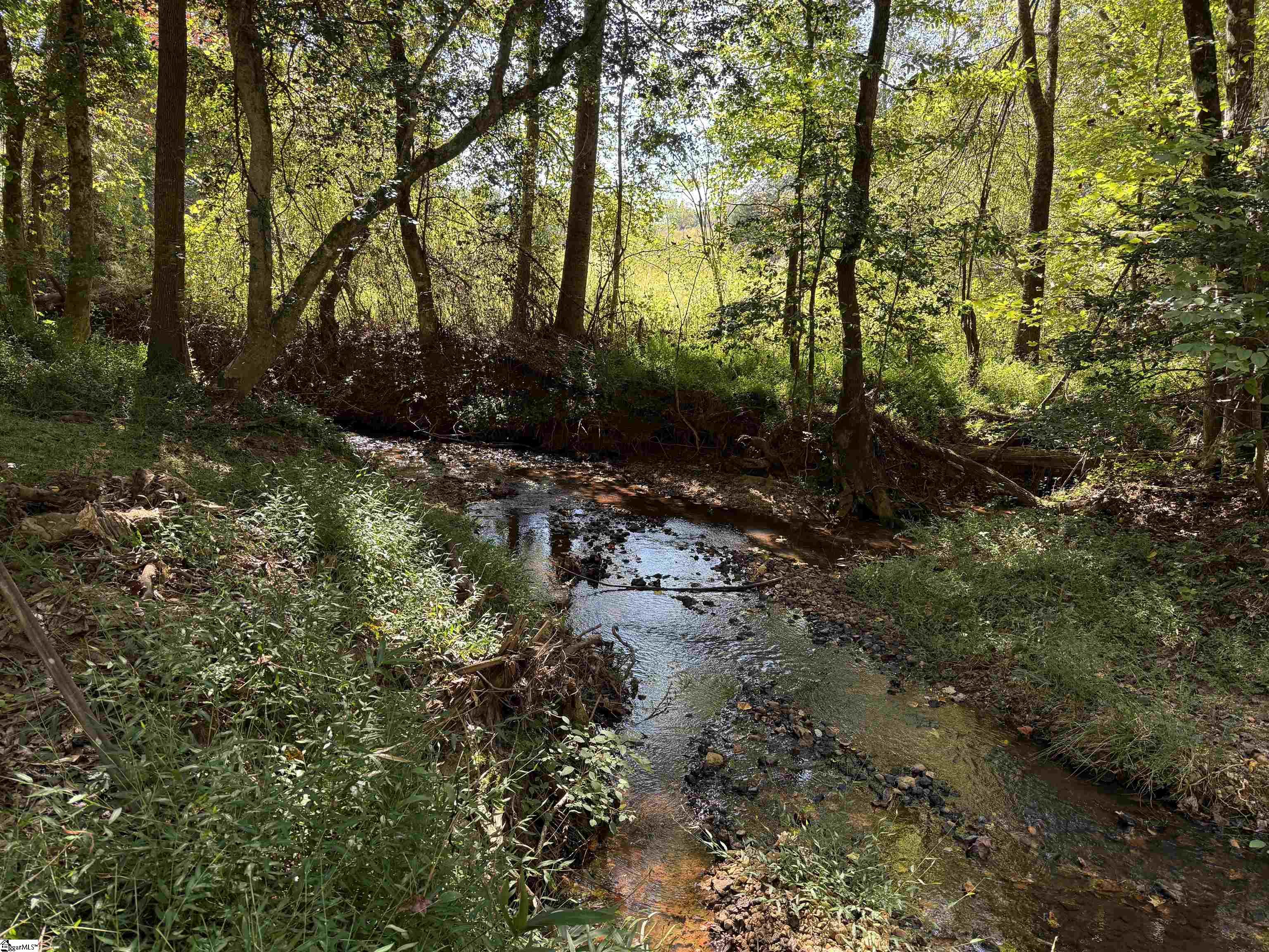 249 Cedar Hill Road Six Mile, SC 29682 - Photo 38 of 50