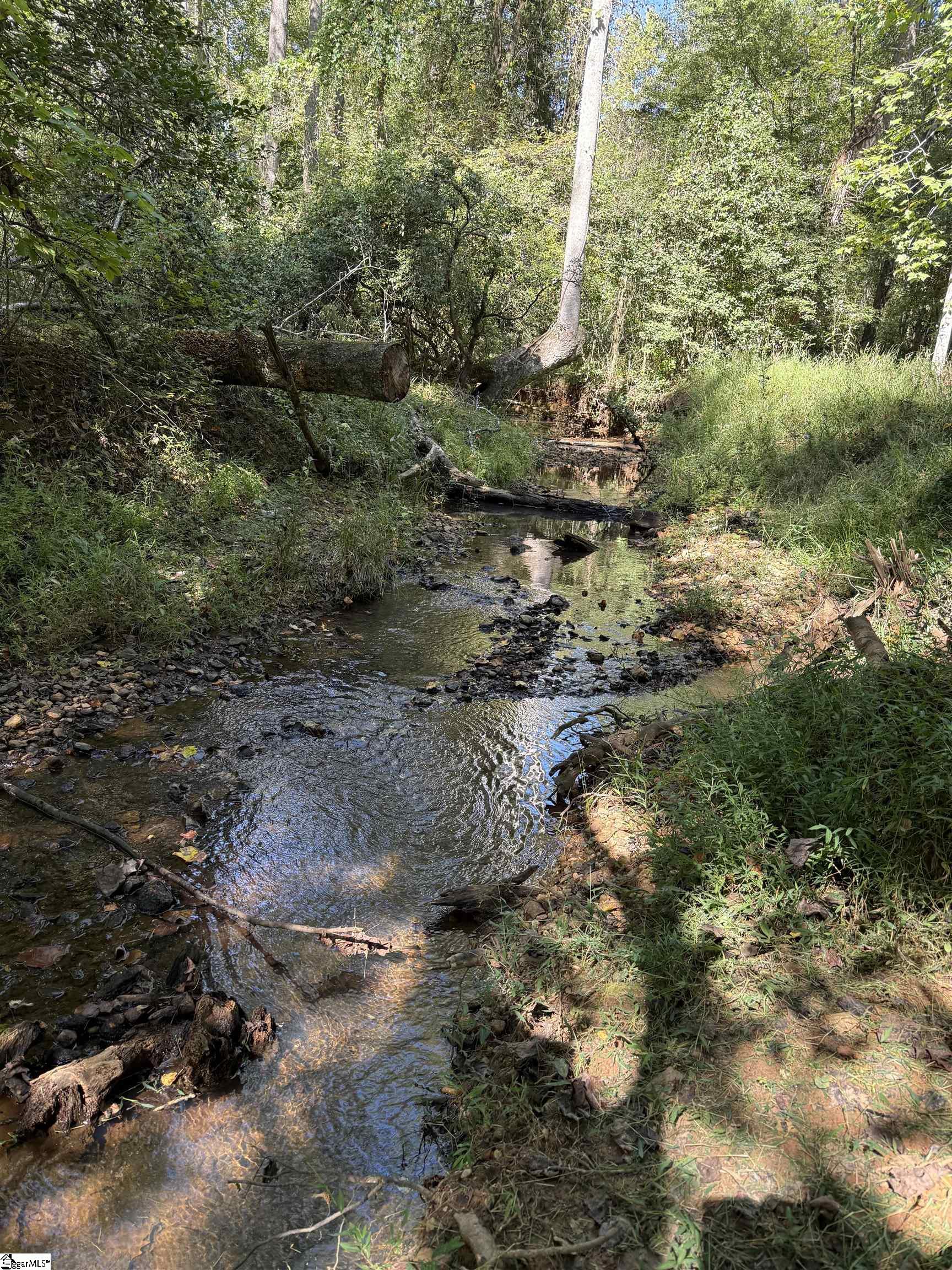 249 Cedar Hill Road Six Mile, SC 29682 - Photo 39 of 50