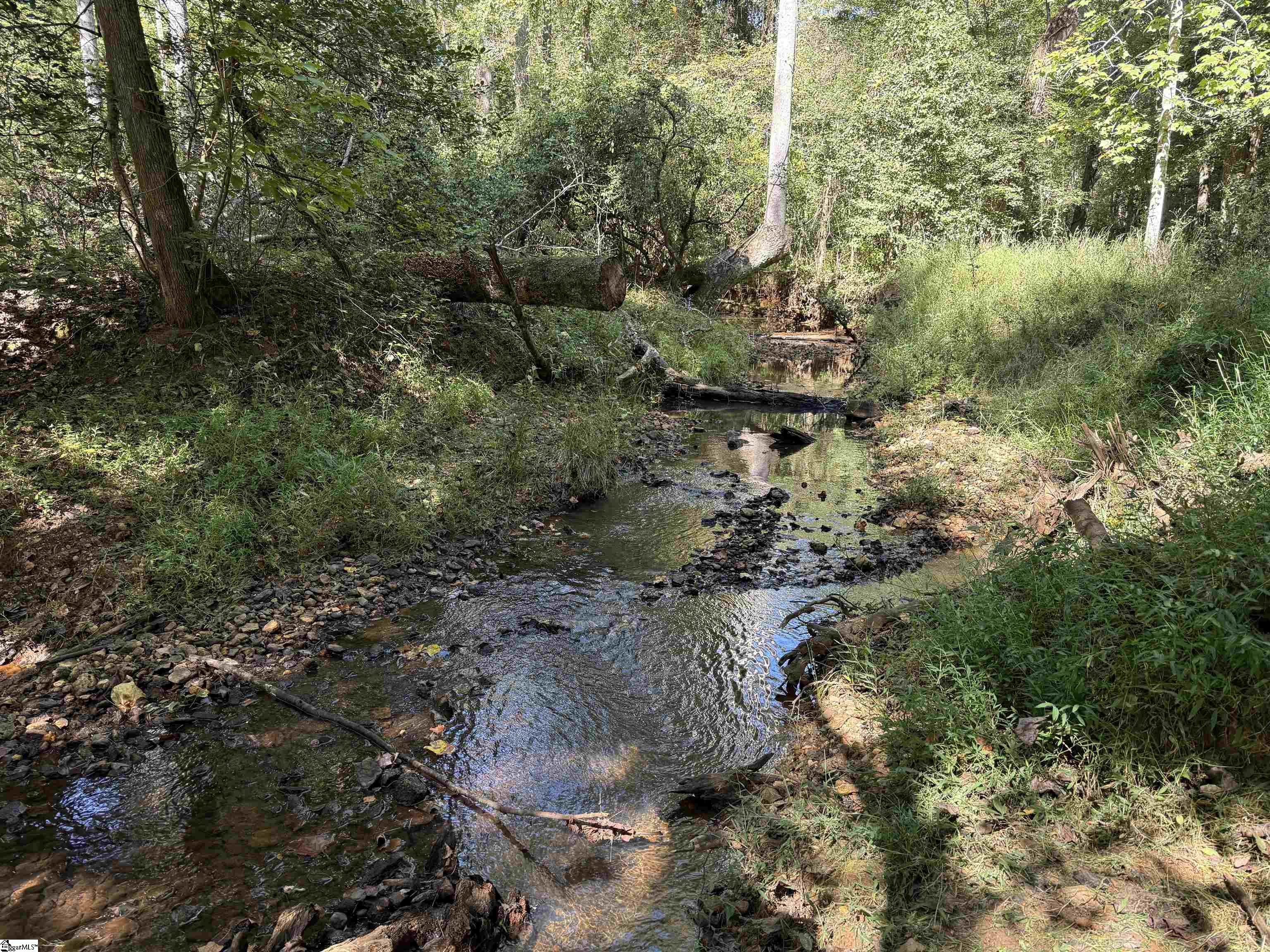 249 Cedar Hill Road Six Mile, SC 29682 - Photo 40 of 50