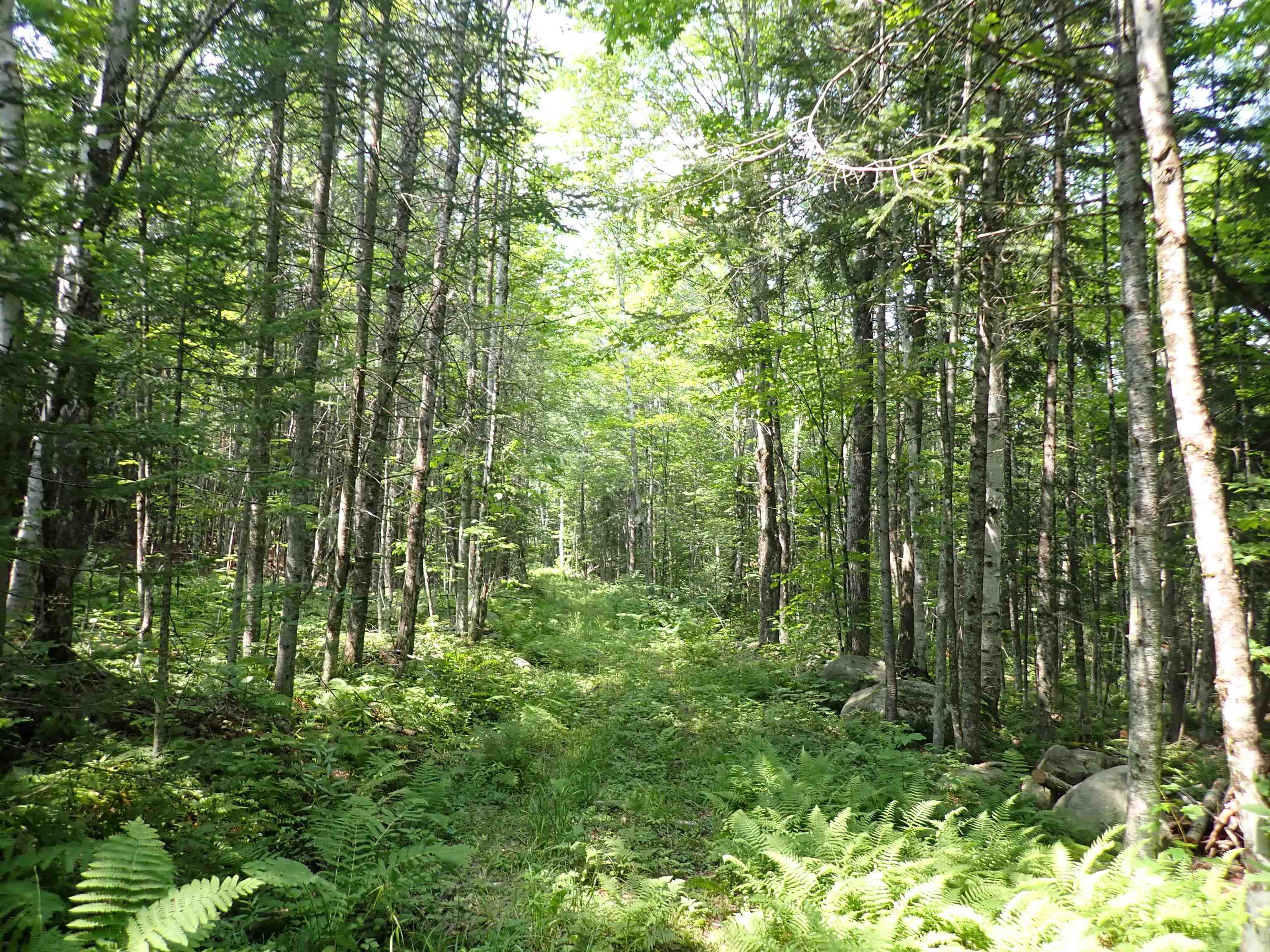 72 Levi Pond Road Groton, VT 05046 - Photo 11 of 16 Gallery Image 11