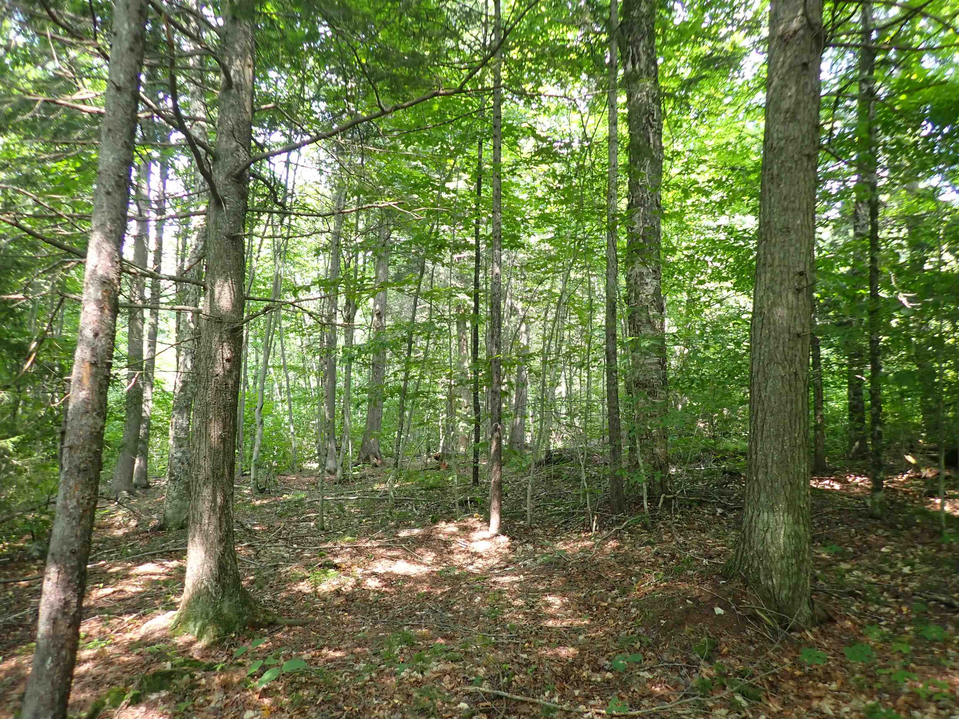 72 Levi Pond Road Groton, VT 05046 - Photo 12 of 16 Gallery Image 12
