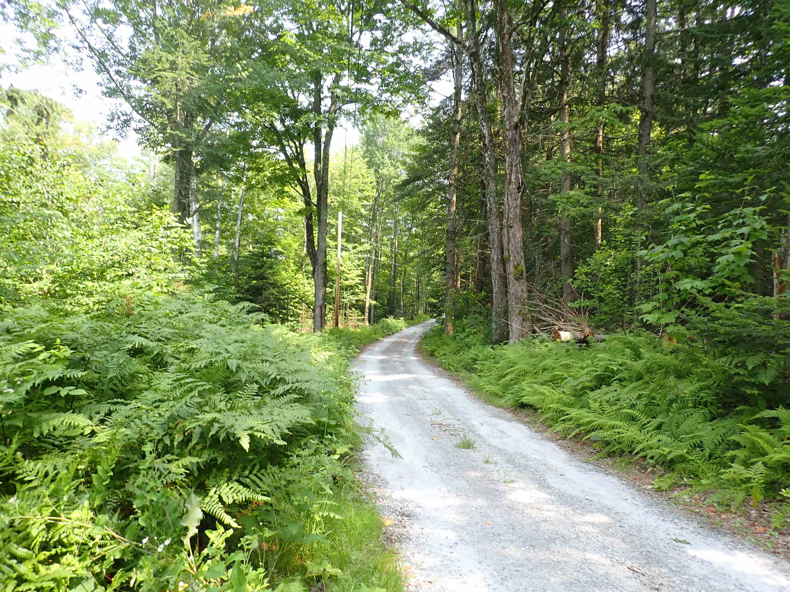 72 Levi Pond Road Groton, VT 05046 - Photo 14 of 16 Gallery Image 14