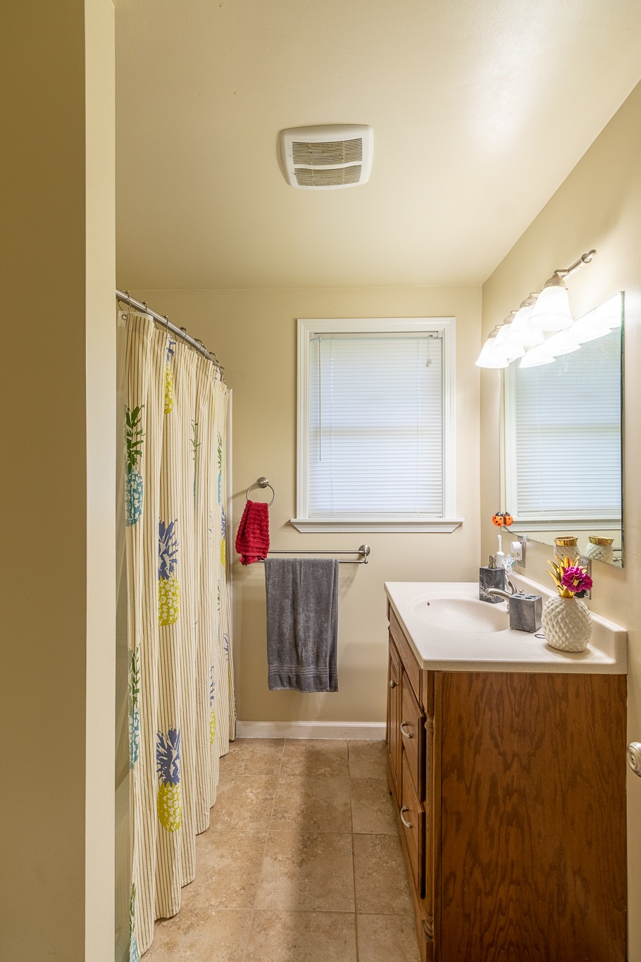 309 Notgrass Road Clarksville, TN 37042 - Photo 6 of 12 a bathroom with a sink vanity and a mirror