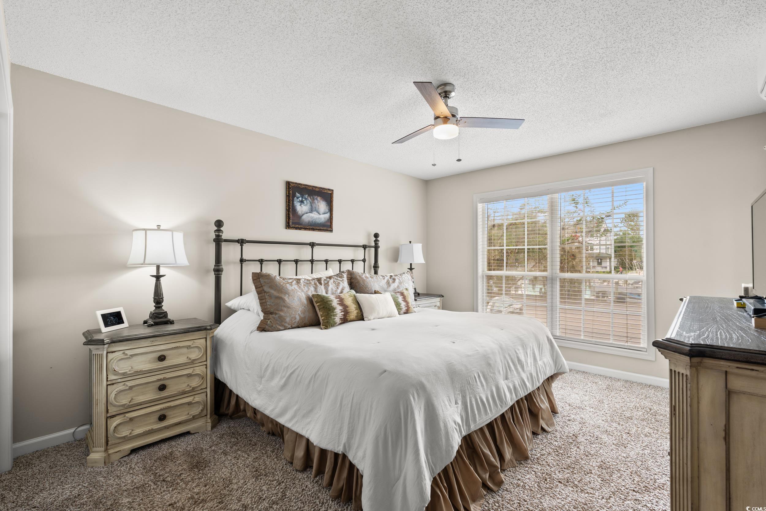 14 Laurel Street, Unit 14 Conway, SC 29526 - Photo 15 of 40 Bedroom featuring carpet floors, a textured ceiling, and a ceiling fan