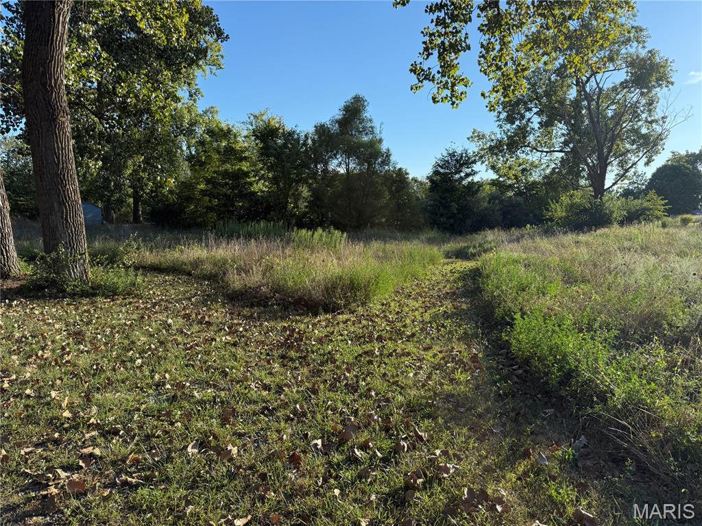 1439 Rock Road Lenzburg, IL 62255 - Photo 20 of 37 Gallery Image 20
