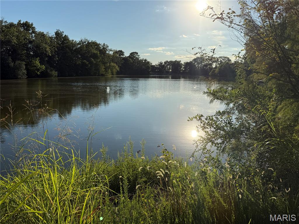 1439 Rock Road Lenzburg, IL 62255 - Photo 30 of 37 Gallery Image 30