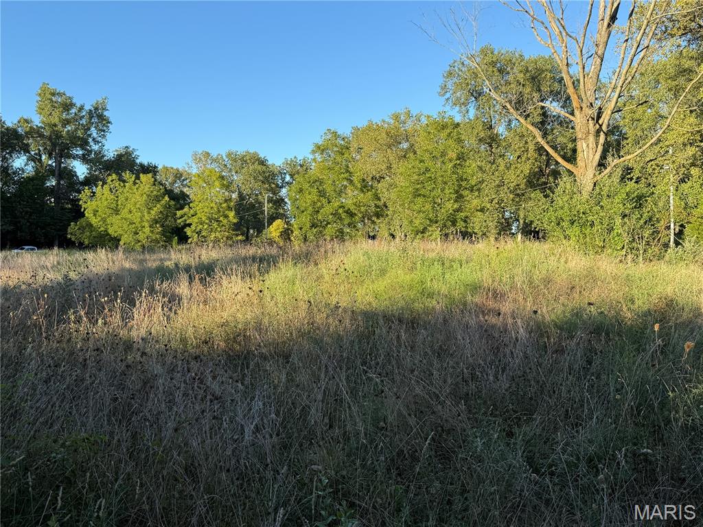1439 Rock Road Lenzburg, IL 62255 - Photo 36 of 37 Gallery Image 36