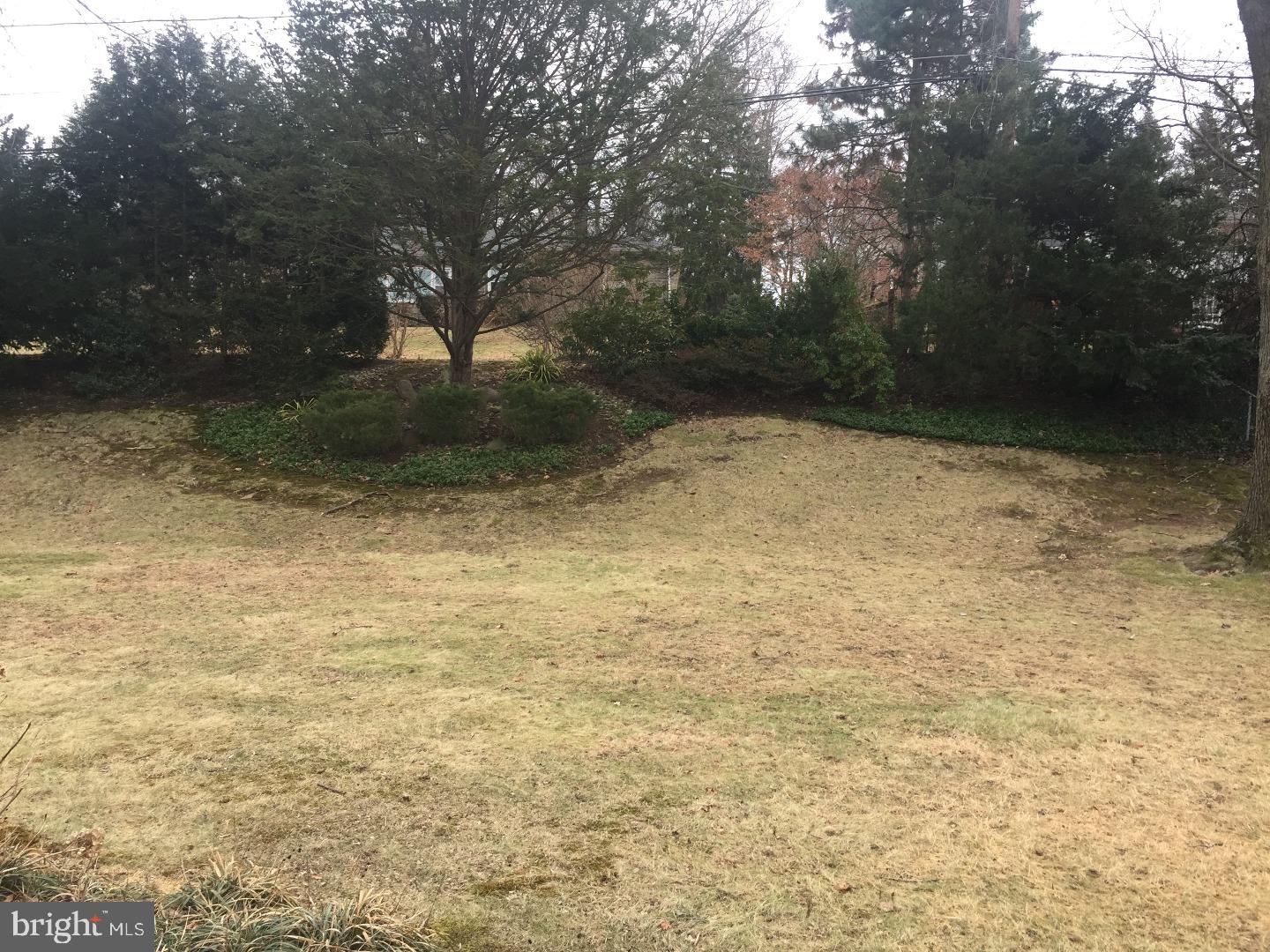 1539 Shoemaker Road Abington, PA 19001 - Photo 5 of 25