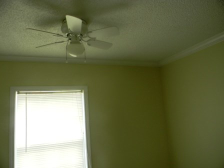 4197 Rowesville Road Rowesville, SC 29133 - Photo 10 of 46 Photo 10