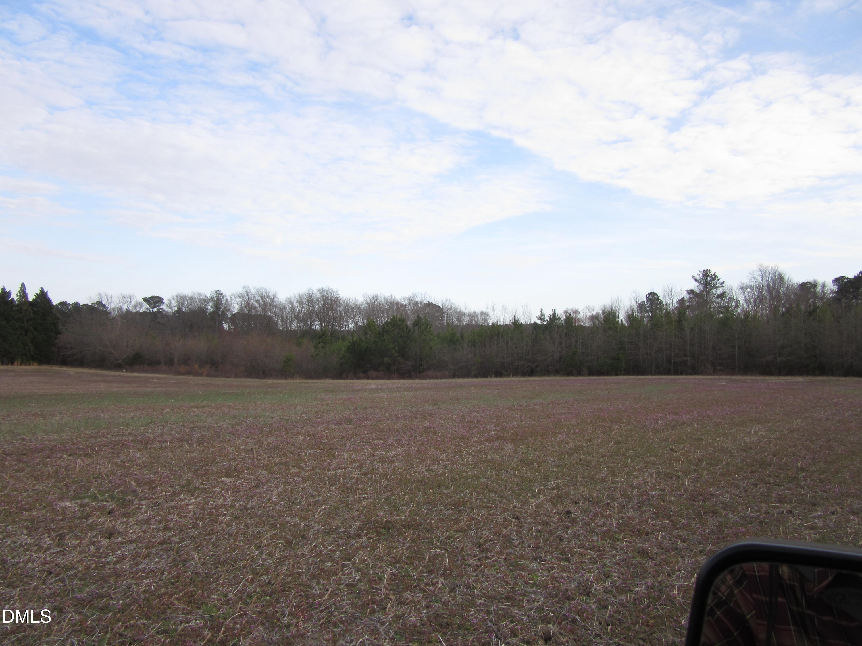 12-acres Pearces Road Zebulon, NC 27597 - Photo 4 of 8 IMG_1661