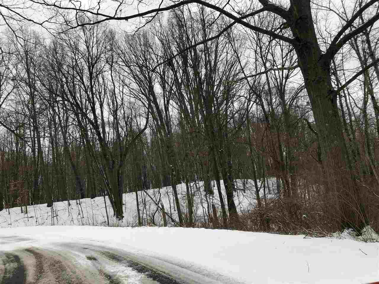 1 Baseline Road Gobles, MI 49055 - Photo 10 of 21
