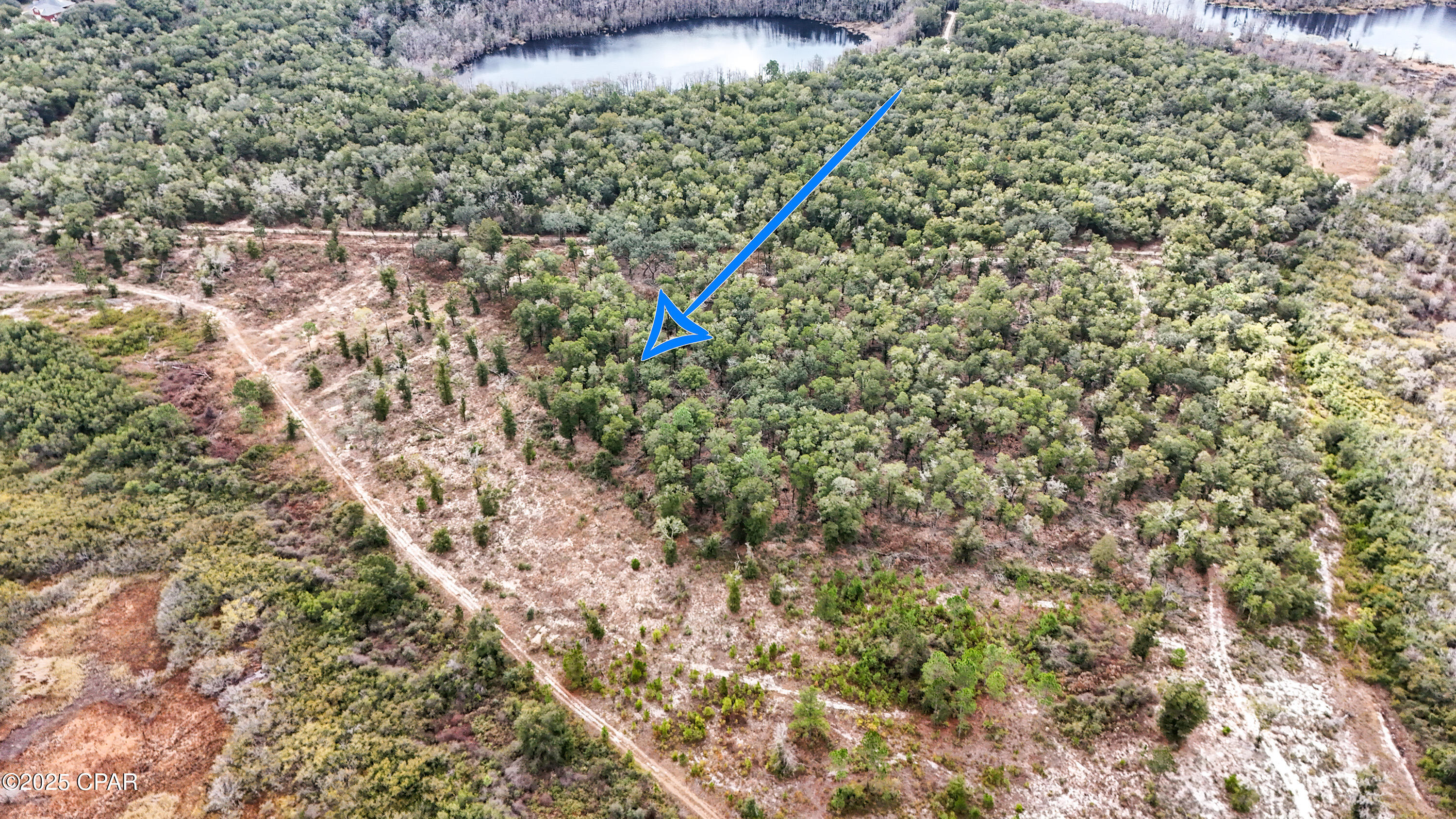 Pine Log Road Chipley, FL 32428 - Photo 8 of 8