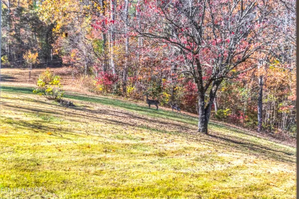 $1,400,000 | 6260 East Lamar Alexander Parkway, Walland, TN 37886