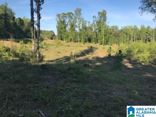29 County Road, Unit 32 100 Thorsby, AL 35171 - Photo 2 of 2