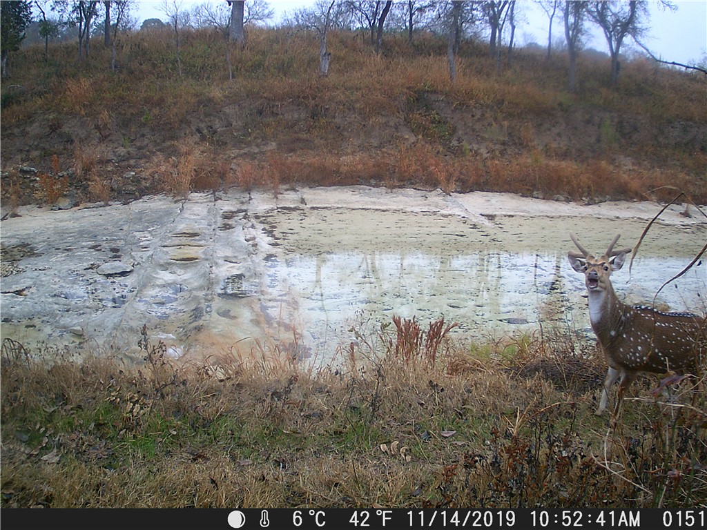 440 Chimney Valley Road Blanco, TX 78606 - Photo 12 of 17