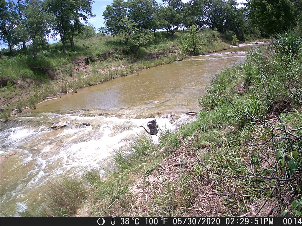 440 Chimney Valley Road Blanco, TX 78606 - Photo 13 of 17 River in March