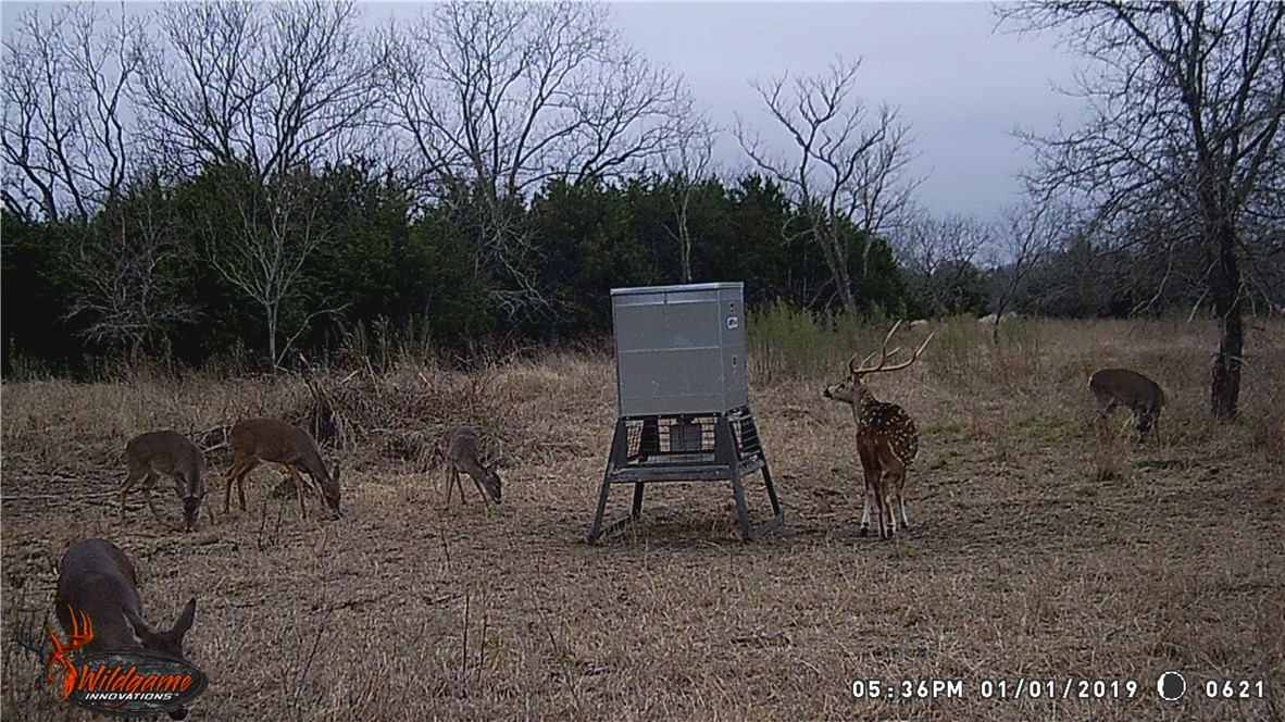 440 Chimney Valley Road Blanco, TX 78606 - Photo 14 of 17
