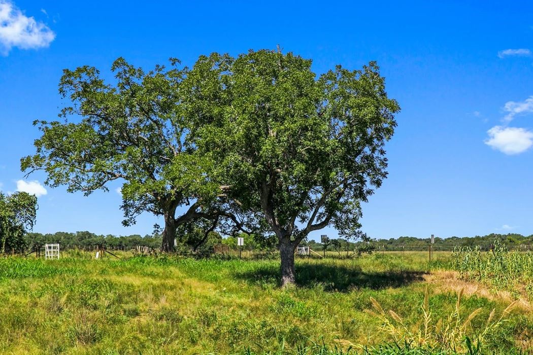 440 Chimney Valley Road Blanco, TX 78606 - Photo 3 of 17