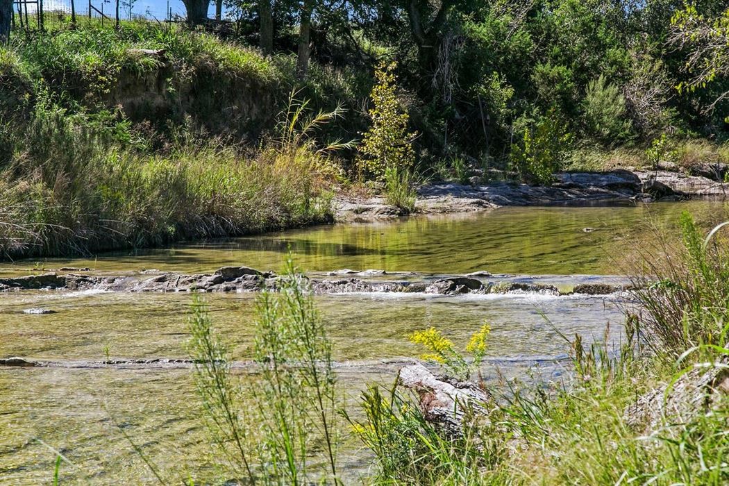440 Chimney Valley Road Blanco, TX 78606 - Photo 5 of 17