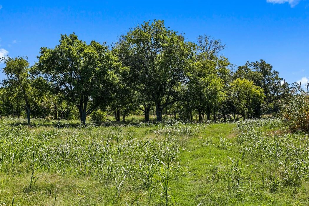 440 Chimney Valley Road Blanco, TX 78606 - Photo 7 of 17