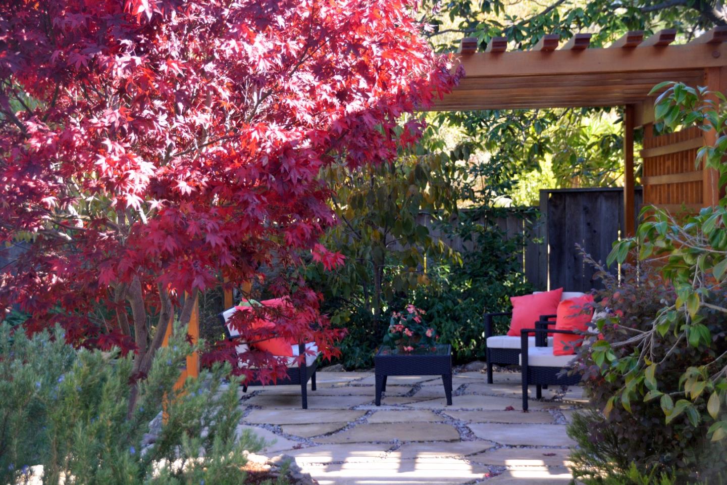 332 Darrell Road Hillsborough, CA 94010 - Photo 17 of 17 a backyard of a house with lots of green space