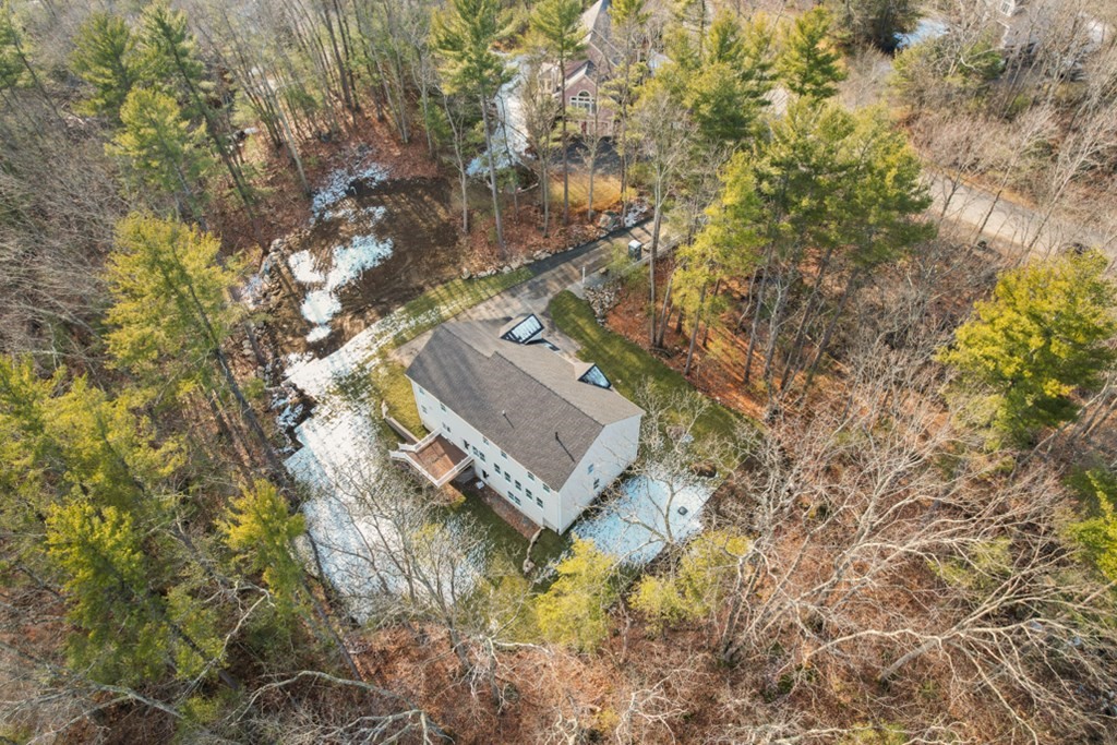 21 Vera Road Middleton, MA 01949 - Photo 40 of 41 a picture of trees with of tree