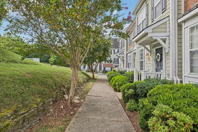 a view of a pathway with a garden