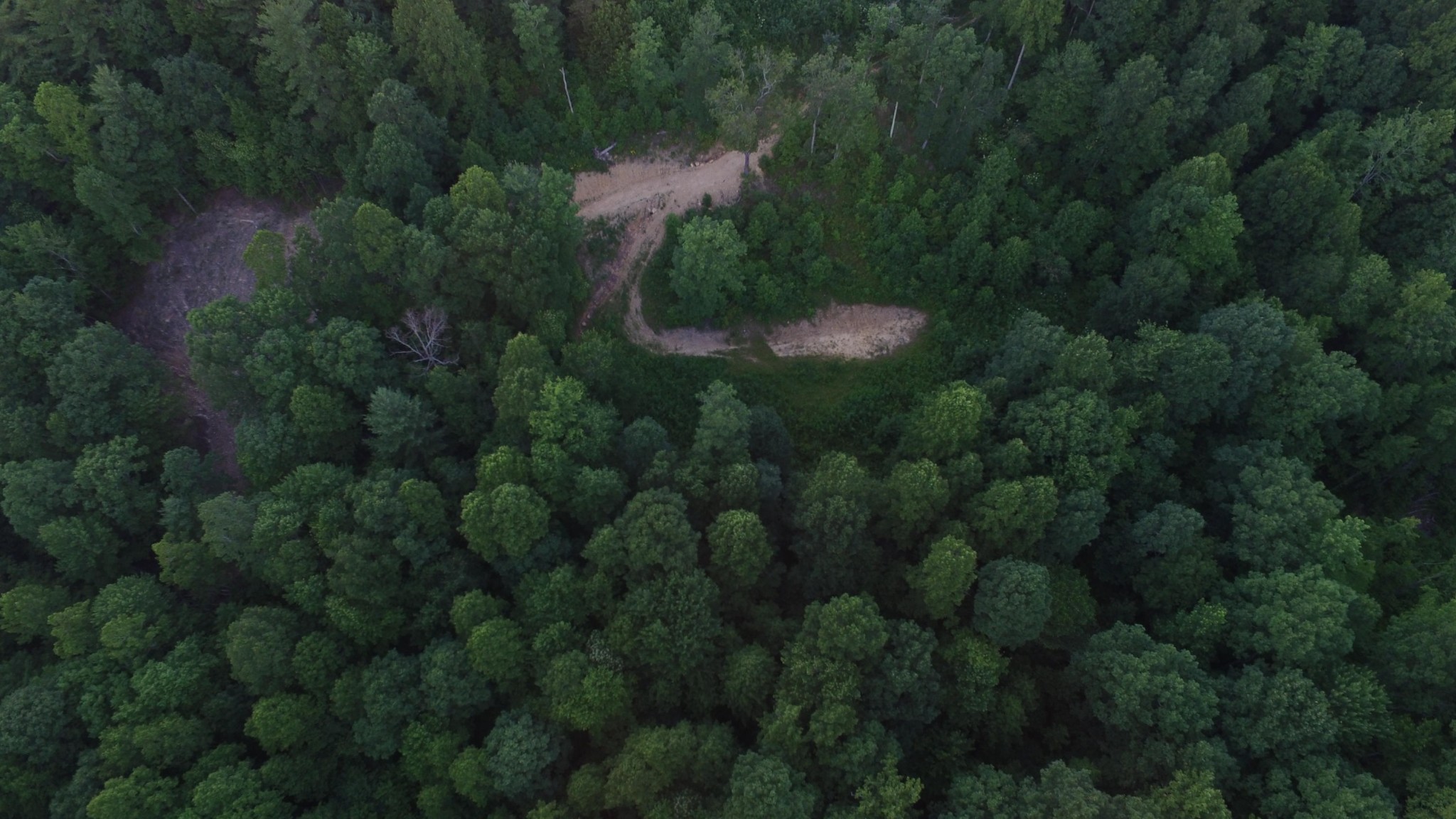 0 Litton Road Oneida, TN 37841 - Photo 24 of 25 an aerial view of residential house with outdoor space and trees all around