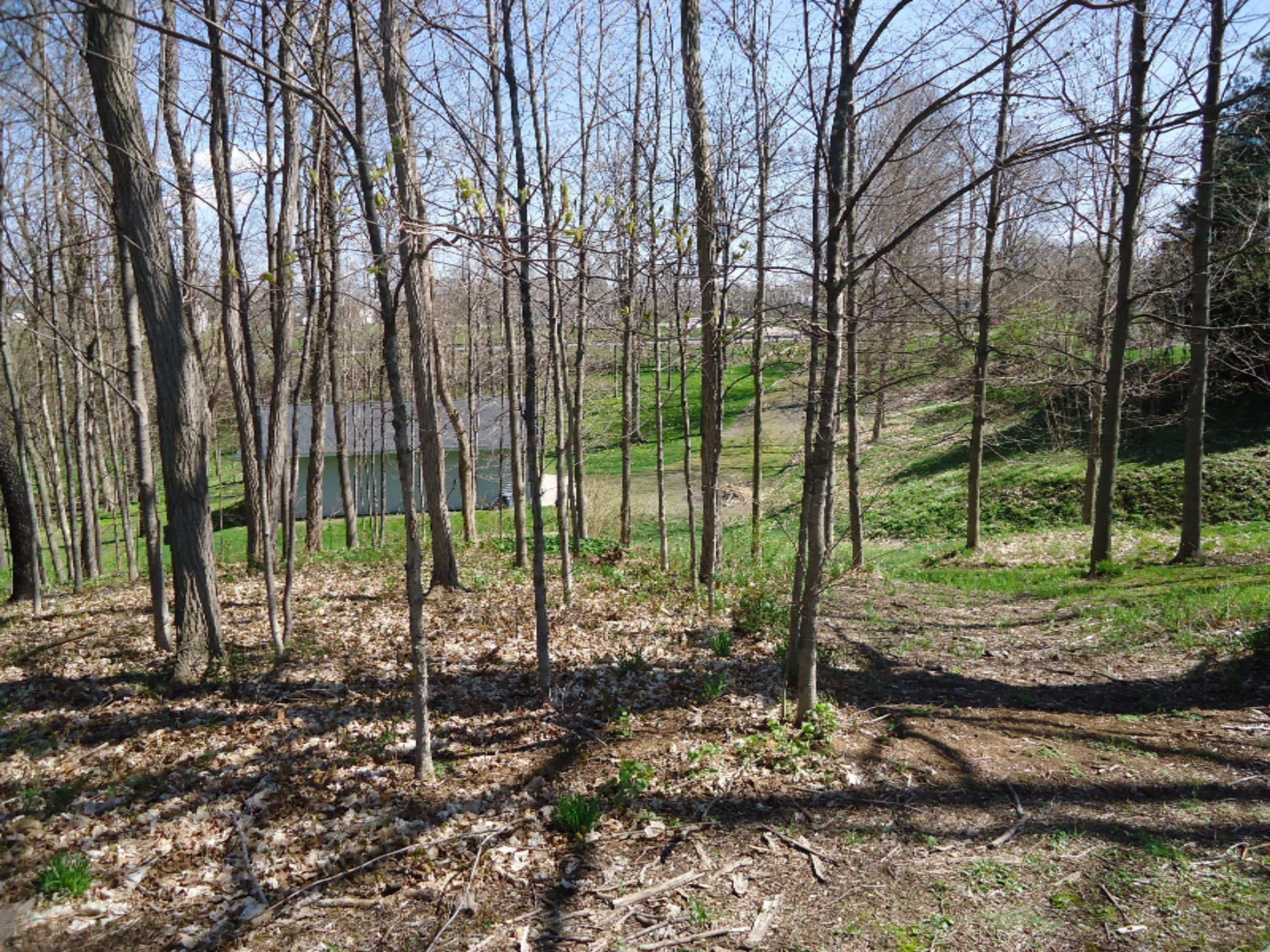 2453 Walton Road Niles, MI 49120 - Photo 10 of 29 DSC01151