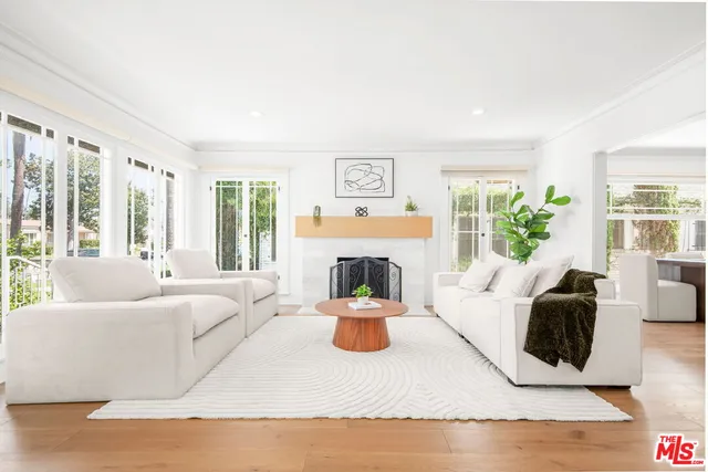 a living room with furniture a fireplace and a potted plant