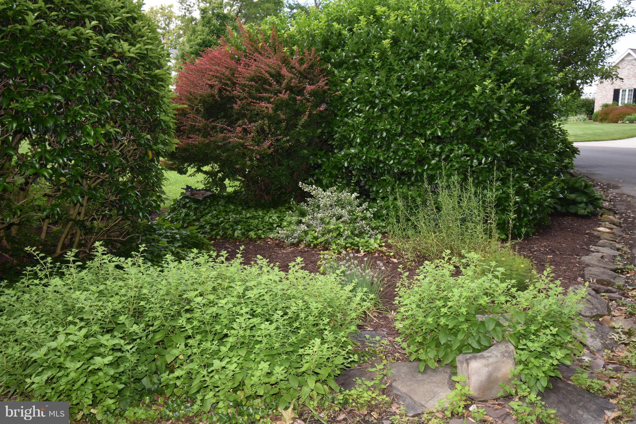 7 Hatsawap Road Cambridge, MD 21613 - Photo 36 of 36 Herb Garden